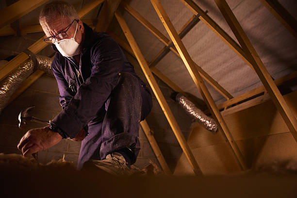 Best Insulation Maintenance and Repair in Fort Payne, AL